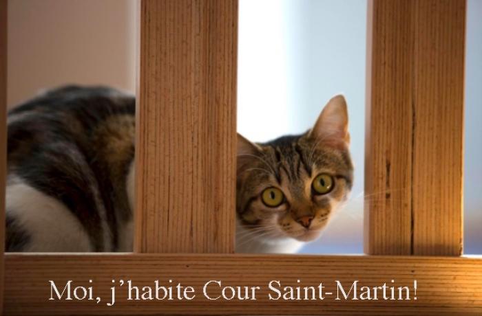 Programme malraux - malraux colmar - cour saint martin colmar (68)