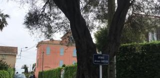 Programme dandeacute;ficit foncier - déficit foncier antibes juan les pins - villa fournel antibes juan les pins (06)