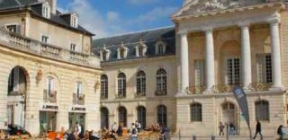 Programme dandeacute;ficit foncier - nue propriété optimisée au déficit foncier dijon - 70 % de travaux dijon (21)